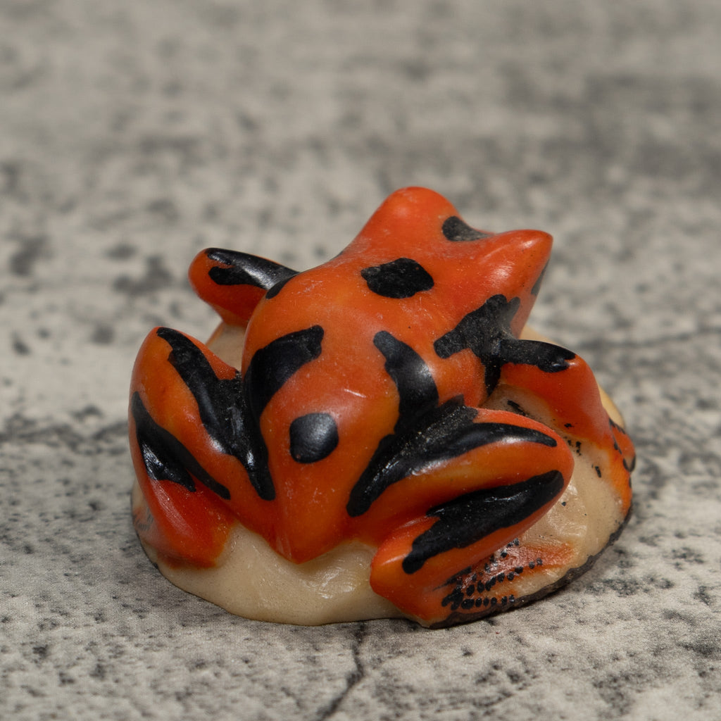 Orange And Black Poison Dart Frog Tagua Carving