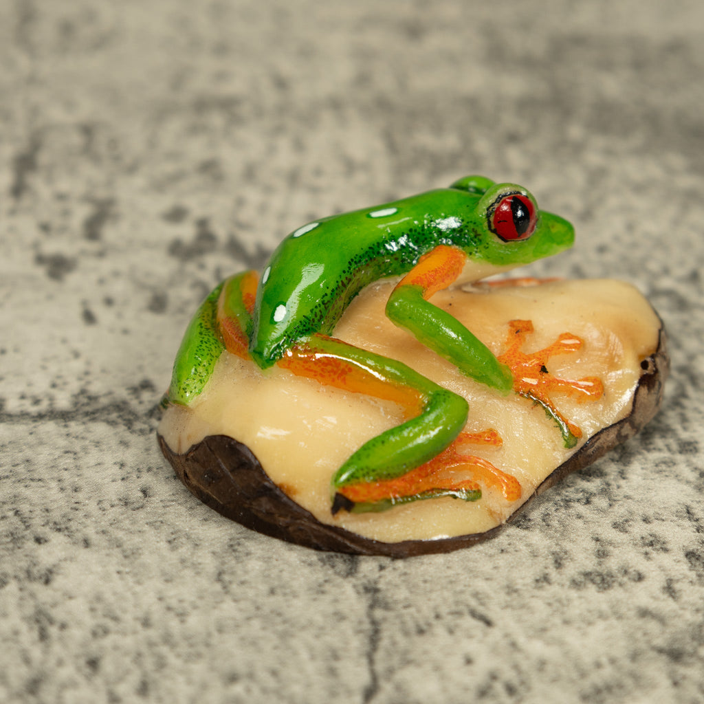 Red-Eye Tree Frog Tagua Carving
