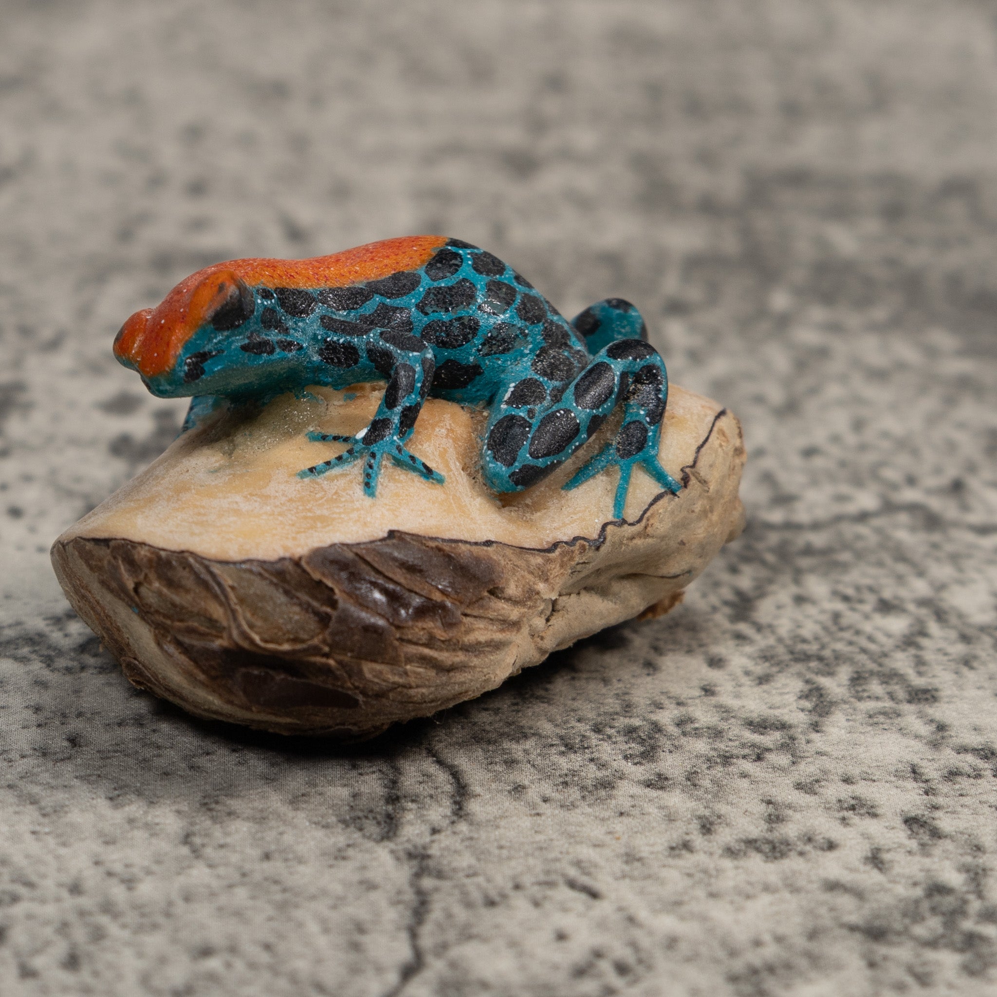 Blue And Orange Poison Dart Frog Tagua Carving