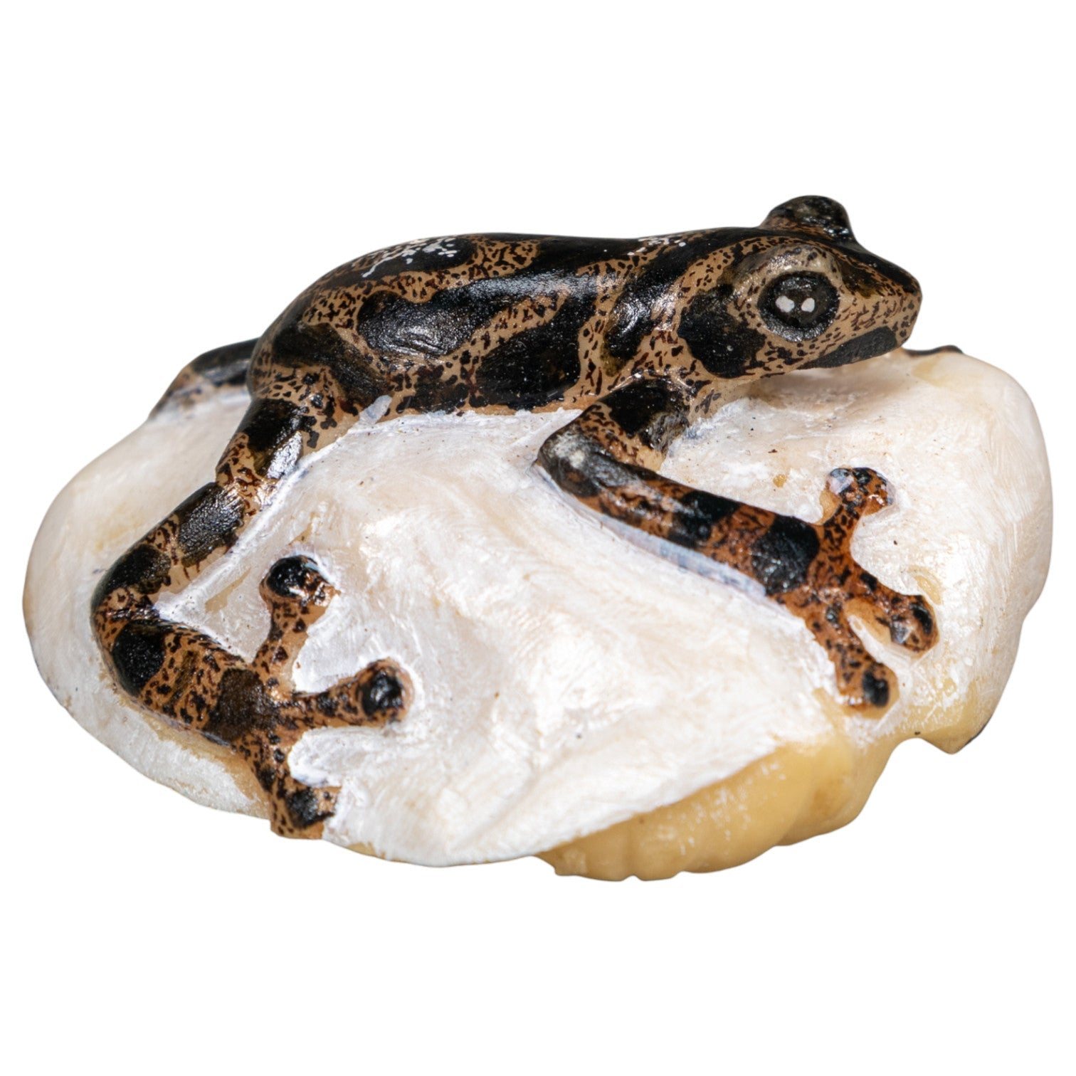 Black And Gold Poison Dart Frog Tagua Carving