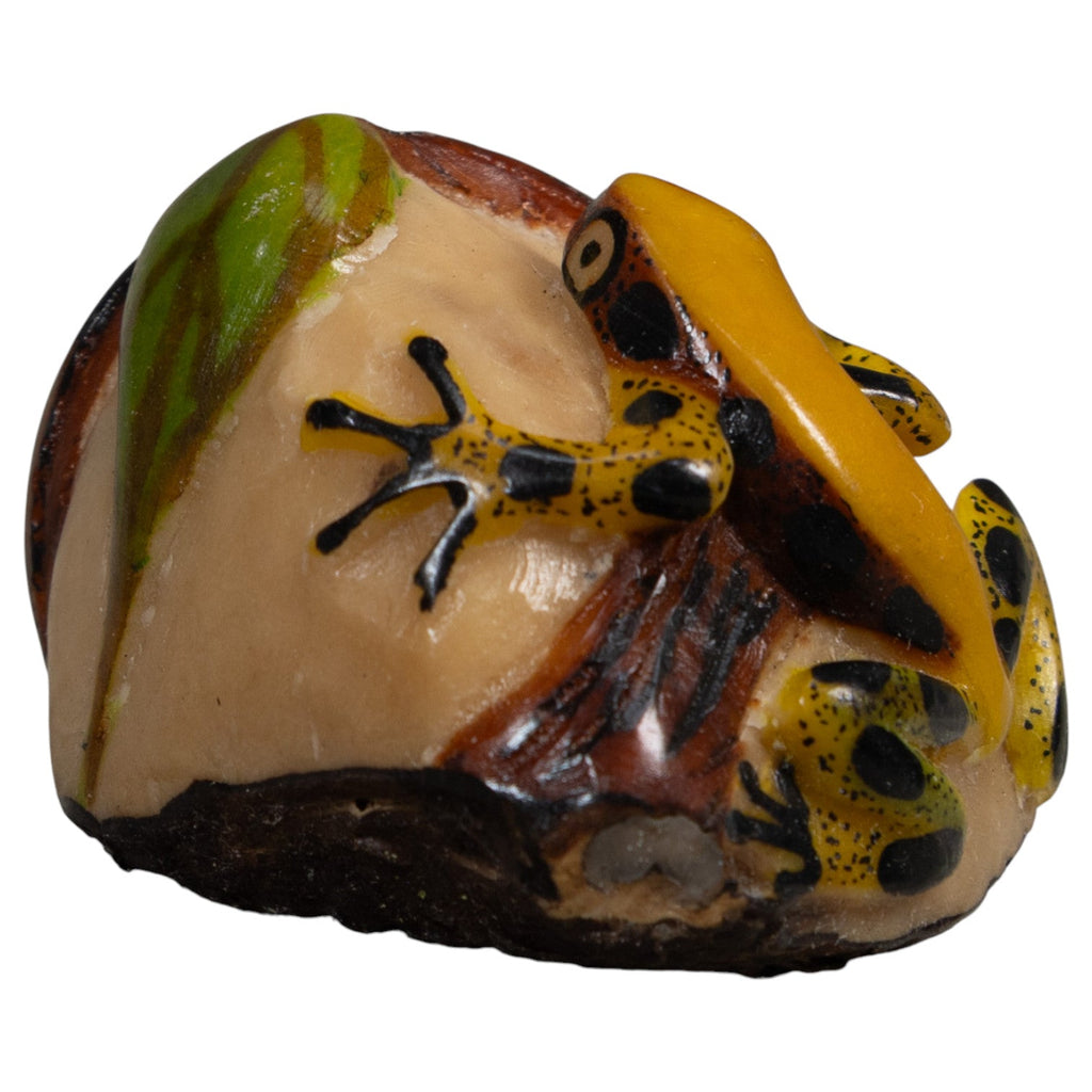 Yellow Green And Black Jungle Frog Tagua Carving