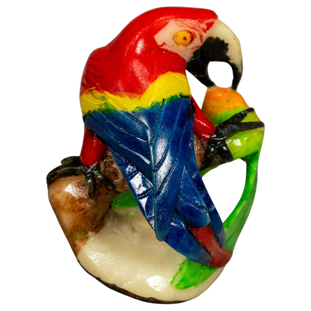 Rainforest Macaw Parrot Bird Tagua Carving