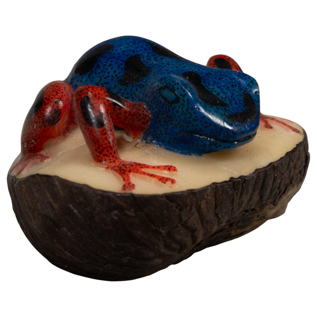Vintage Blue And Red Poison Dart Frog Tagua Carving