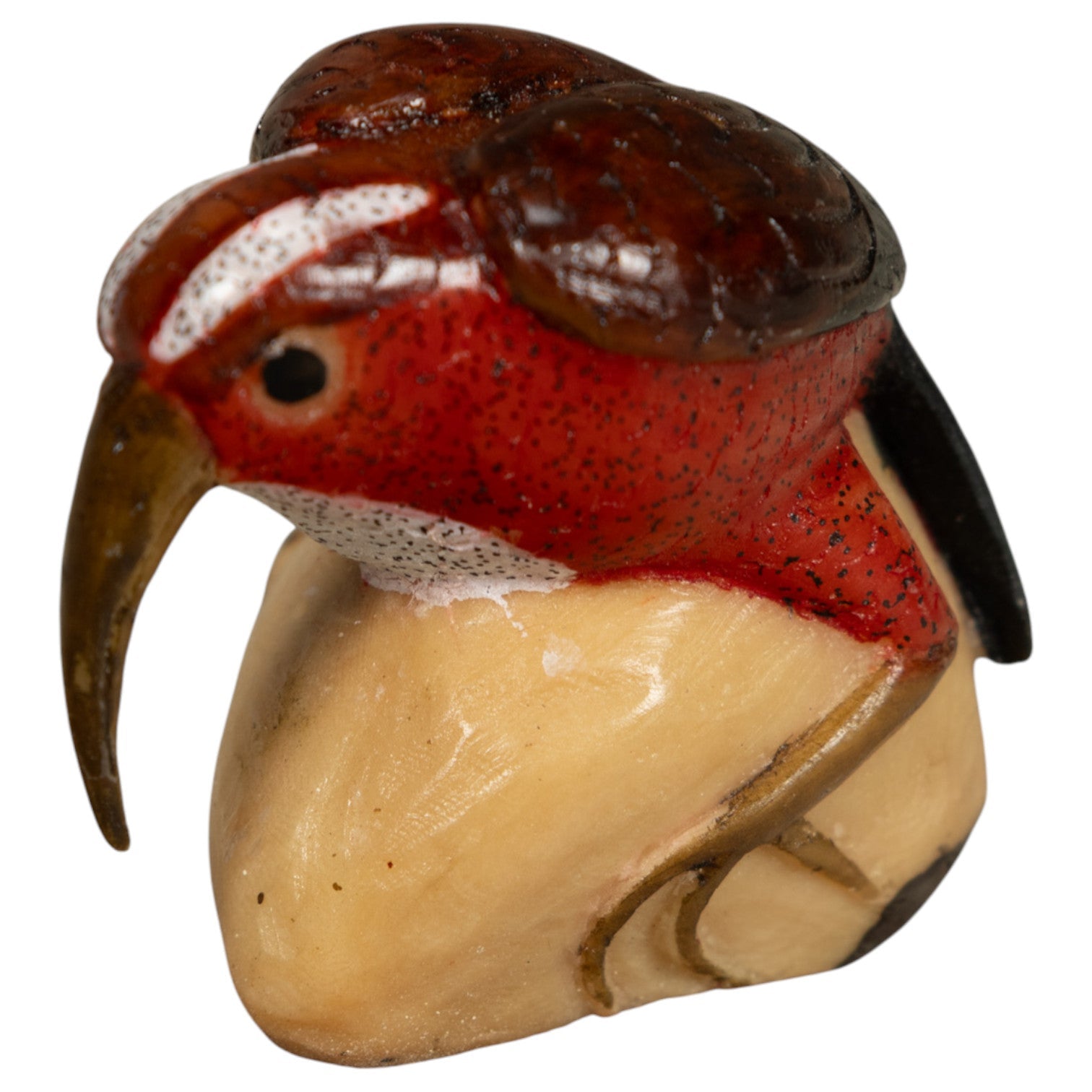 Vintage Red Brown And White Rainforest Bird Tagua Carving