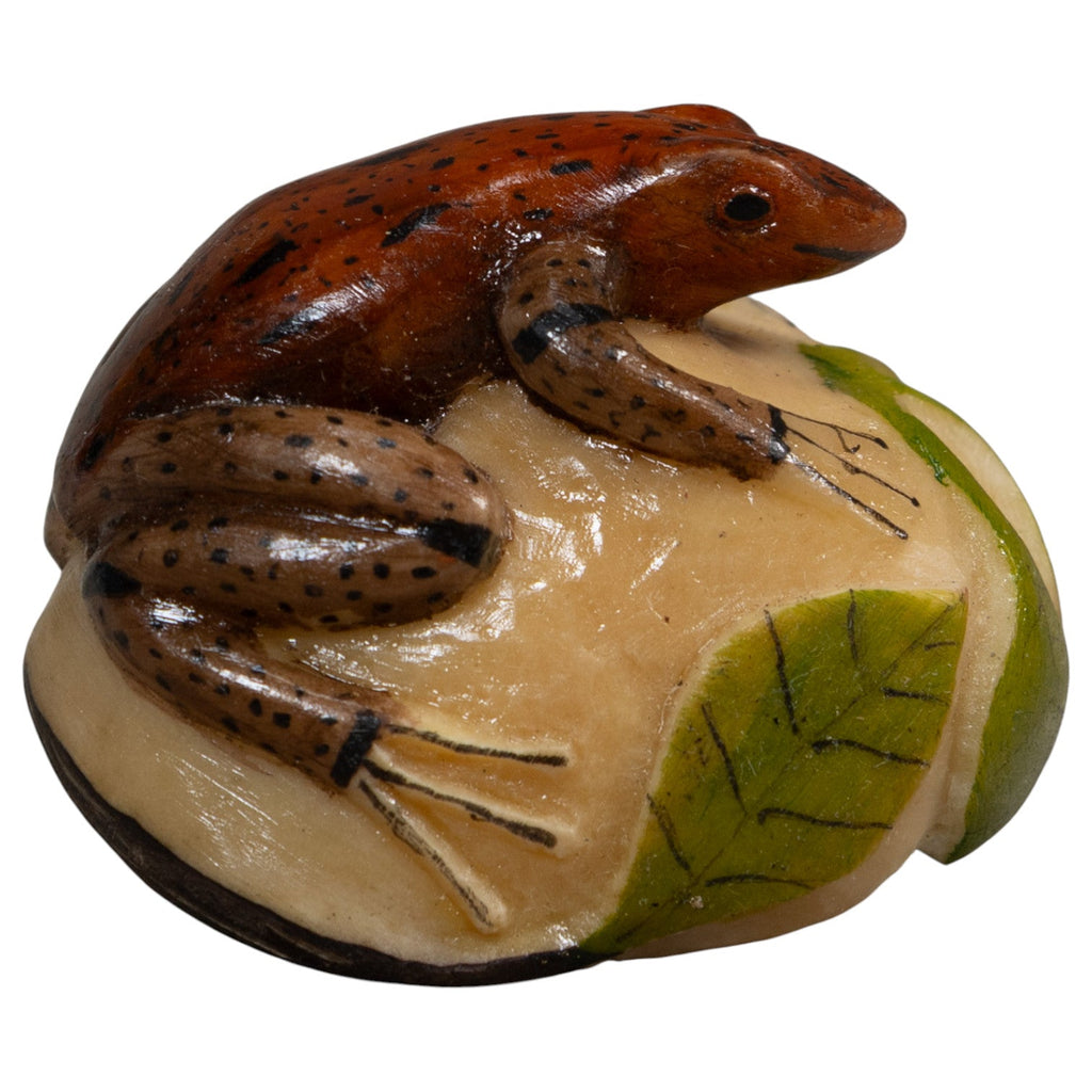 Brown And Black Poison Dart Frog Tagua Carving