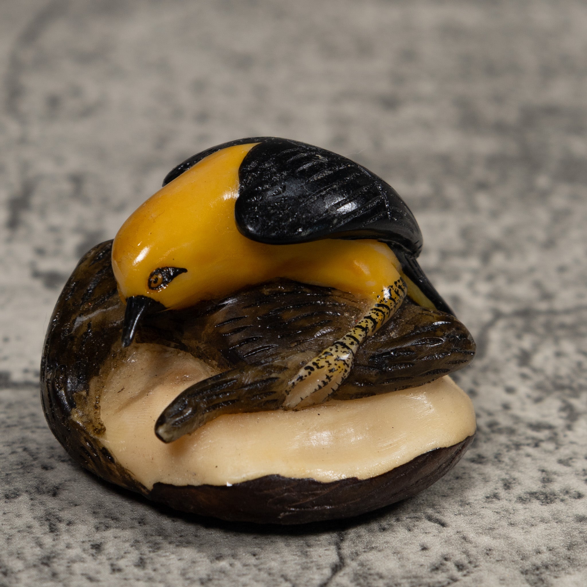 Black And Yellow Oriole Bird Tagua Carving