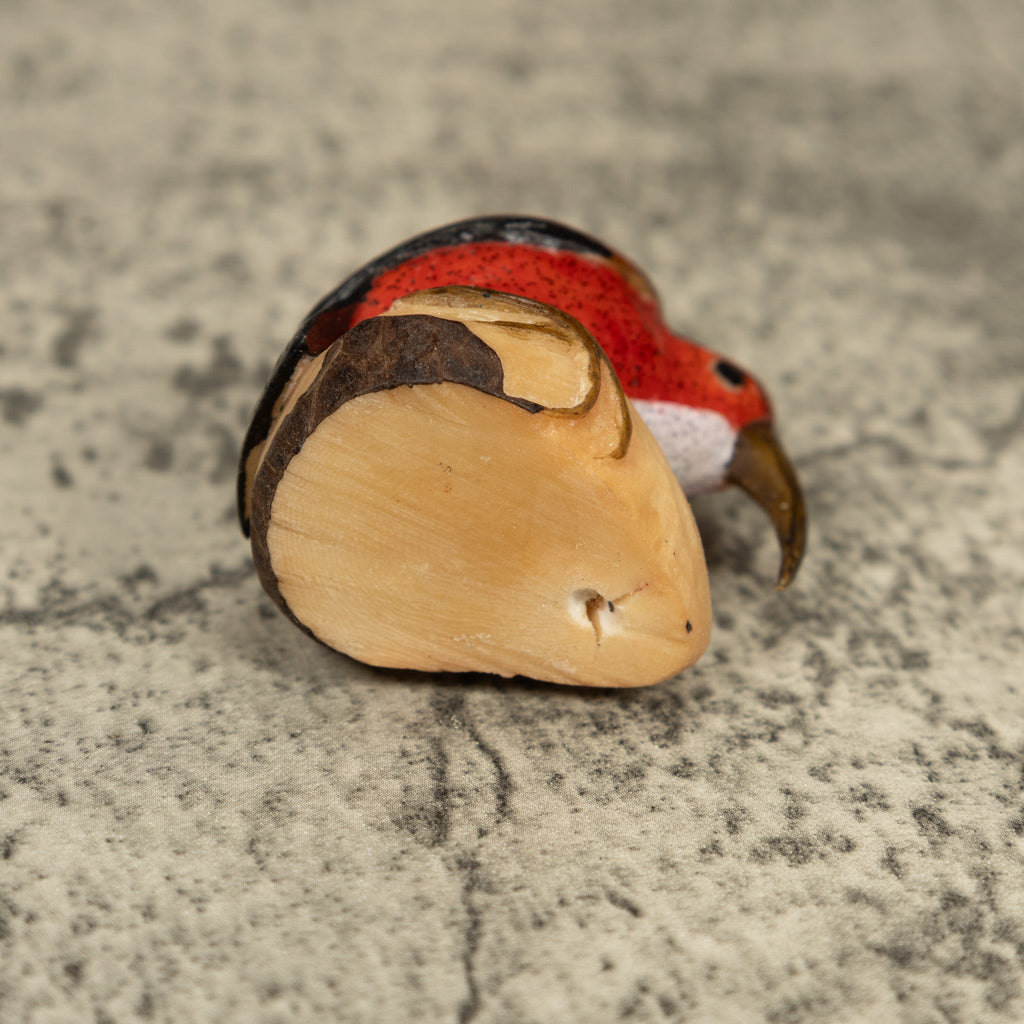 Vintage Red Brown And White Rainforest Bird Tagua Carving