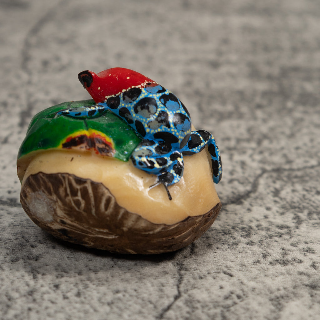 Blue Red And Black Poison Dart Frog Tagua Carving