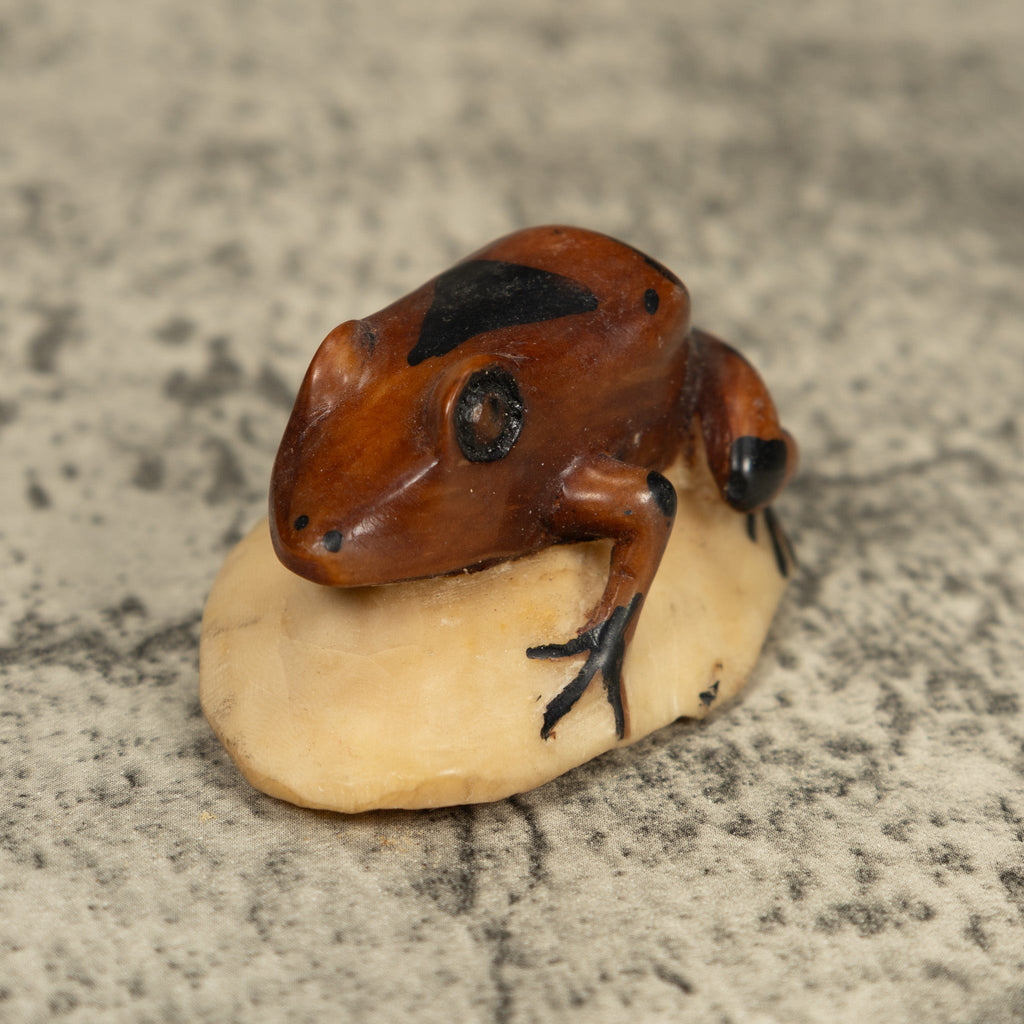 Vintage Brown And Black Frog Tagua Carving