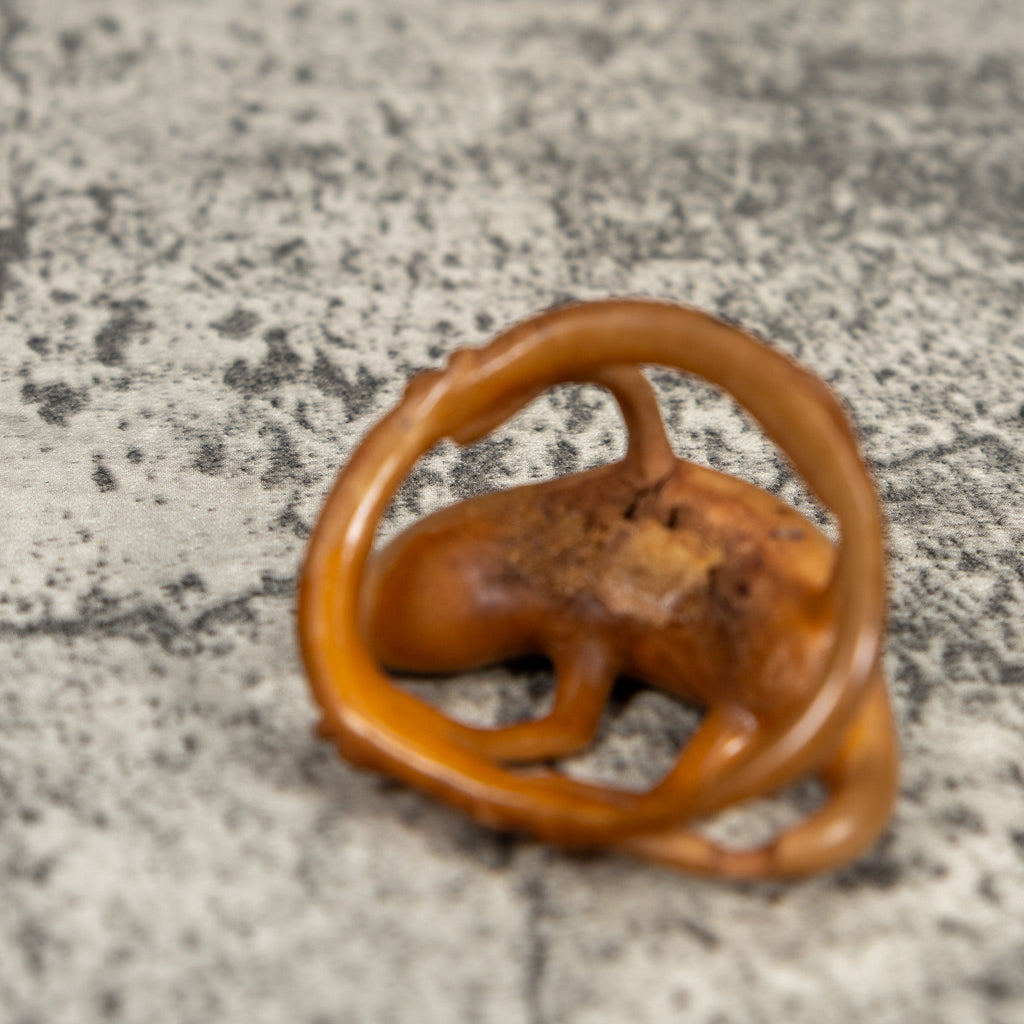 White Natural Dyed Gecko Lizard Tagua Carving