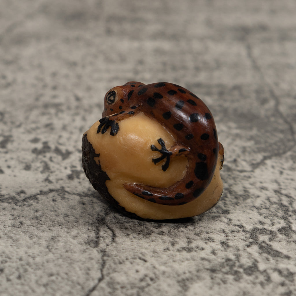 Vintage Gecko Lizard Tagua Carving