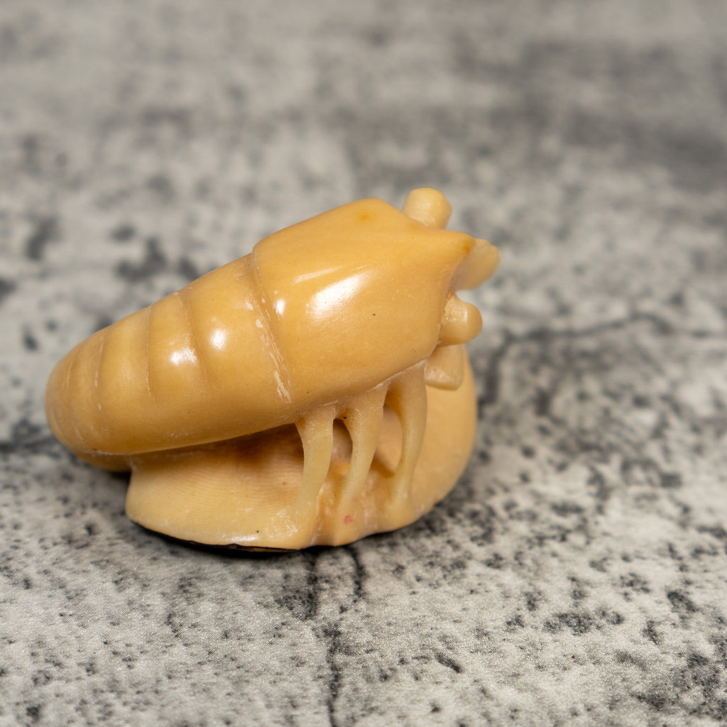 Vintage Natural White Shrimp Tagua Carving