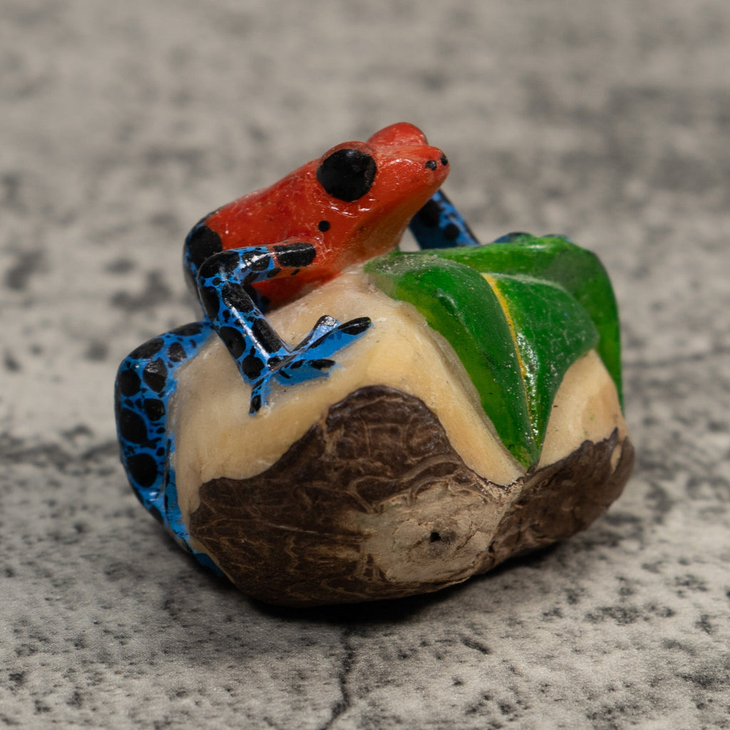 Red And Blue Poison Dart Frog Tagua Carving