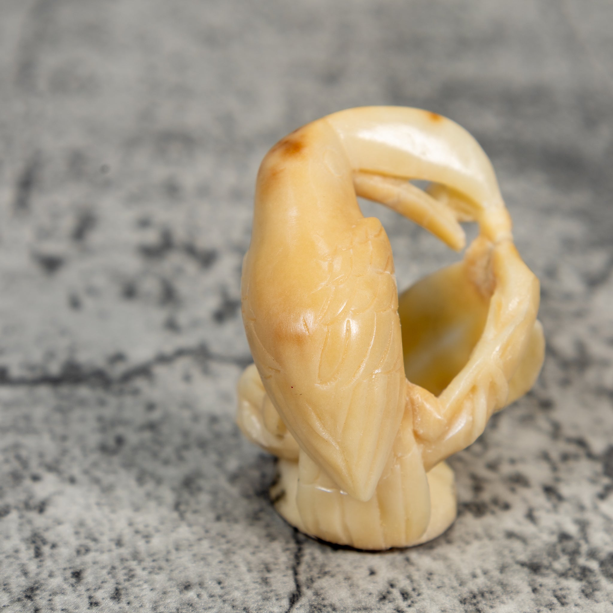 Vintage Natural White Toucan Parrot Bird Tagua Carving