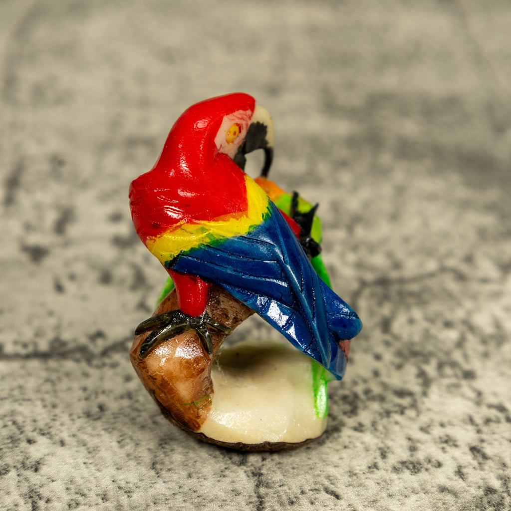 Rainforest Macaw Parrot Bird Tagua Carving