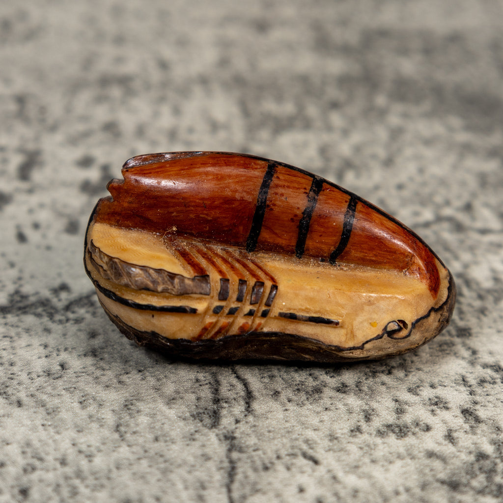 Vintage Shrimp Tagua Carving