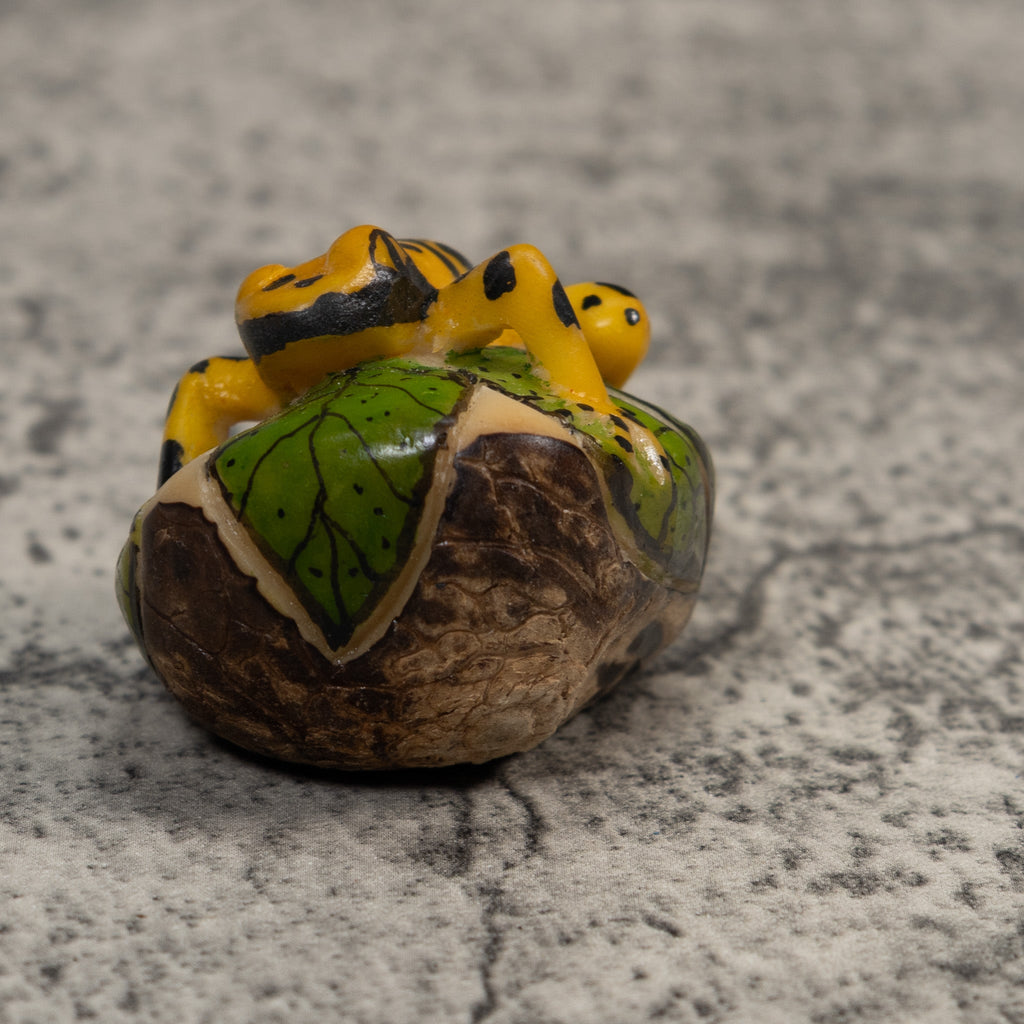 Black And Gold Poison Dart Frog Tagua Carving