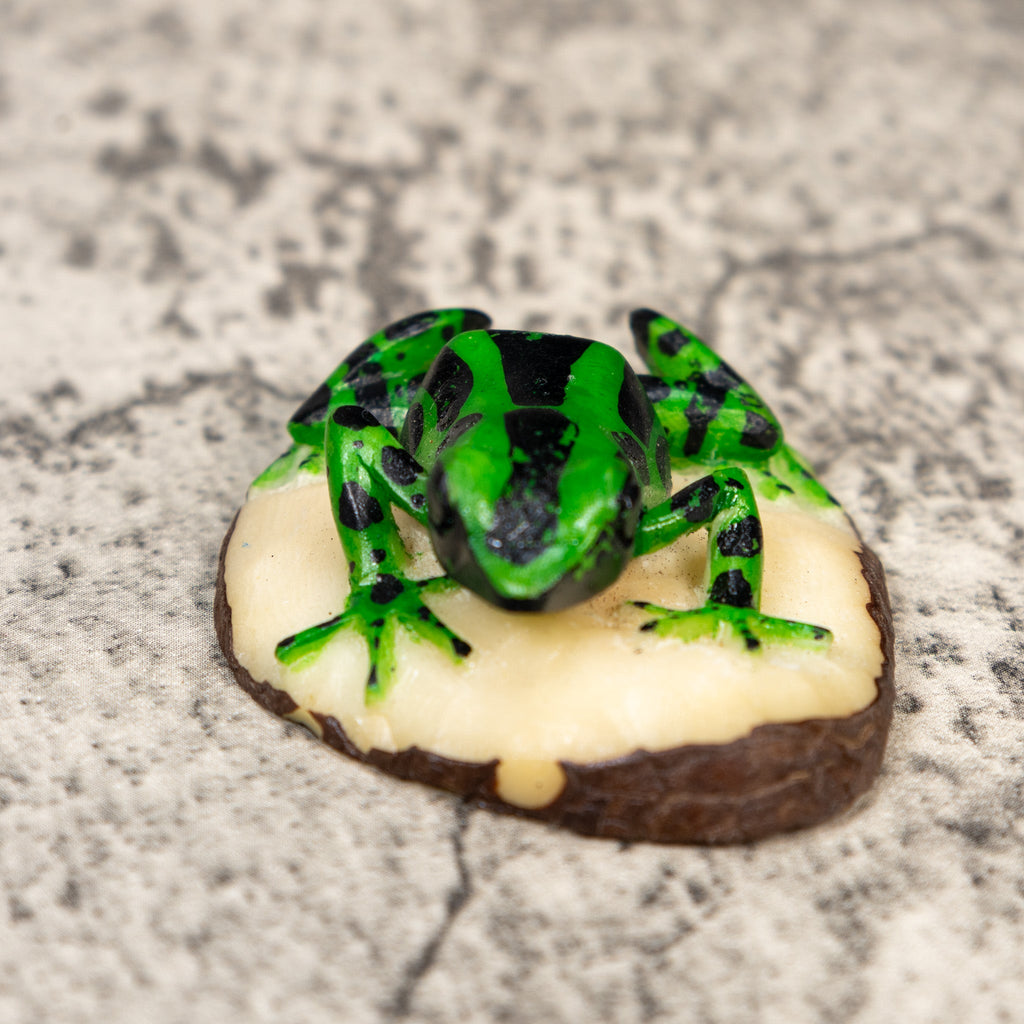 Green And Black Poison Dart Frog Tagua Carving