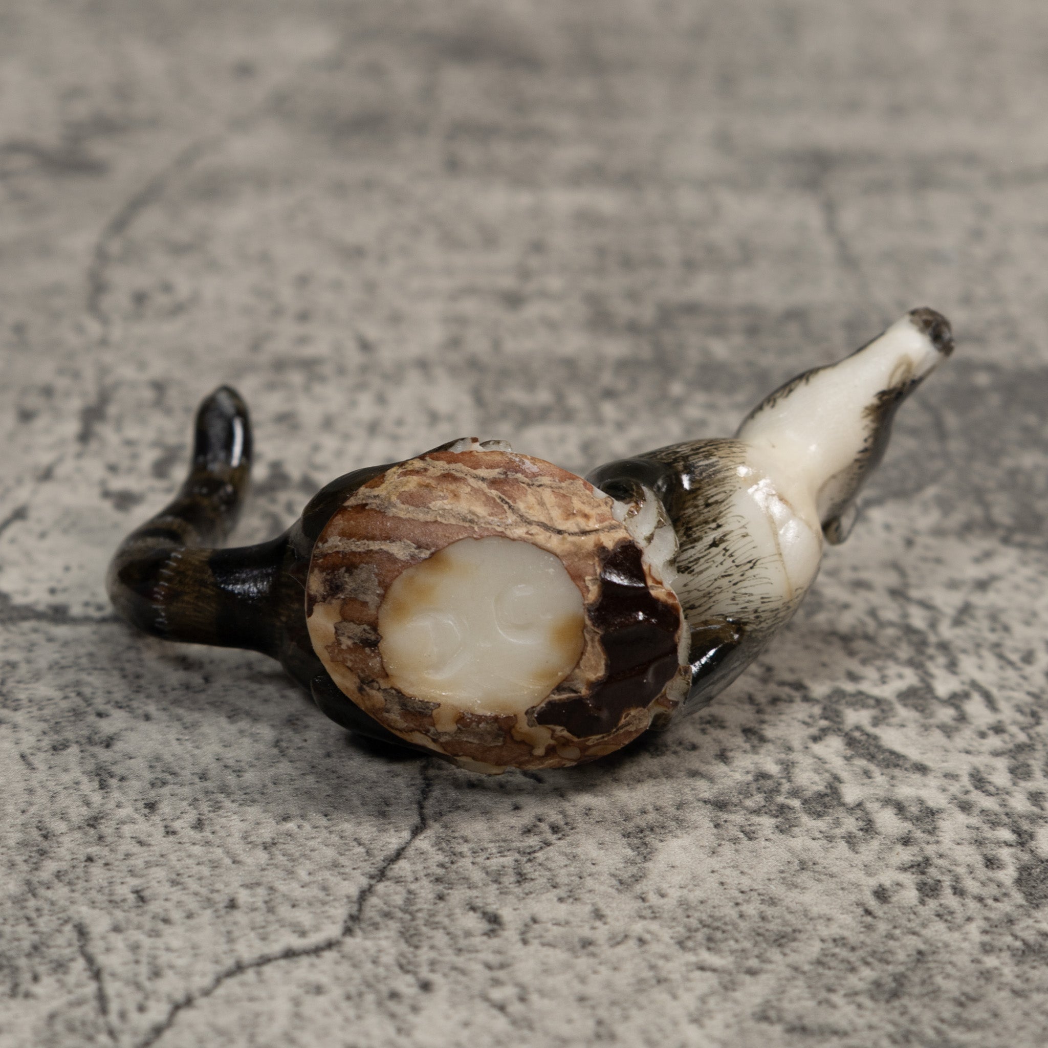 Gorgeous Coatimundi Tagua Carving