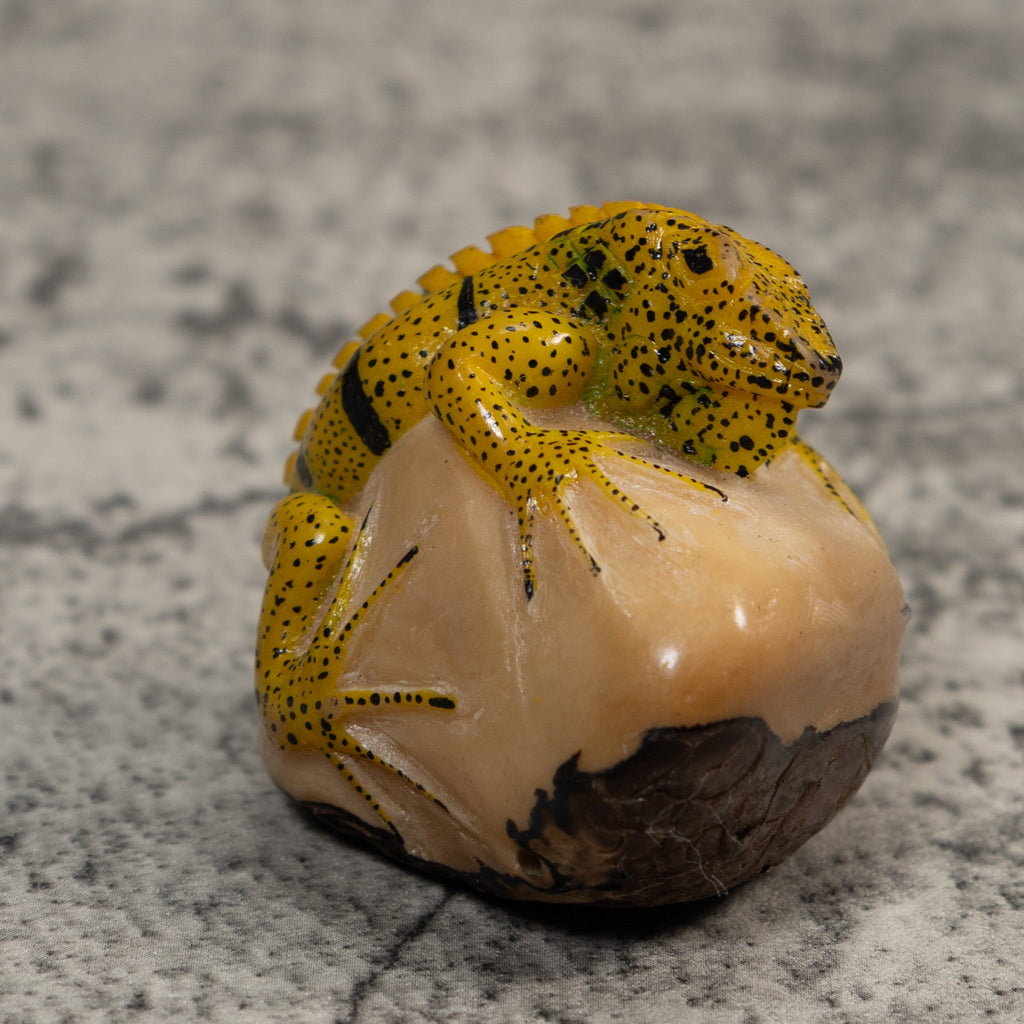 Magnificent Iguana Lizard Tagua Carving
