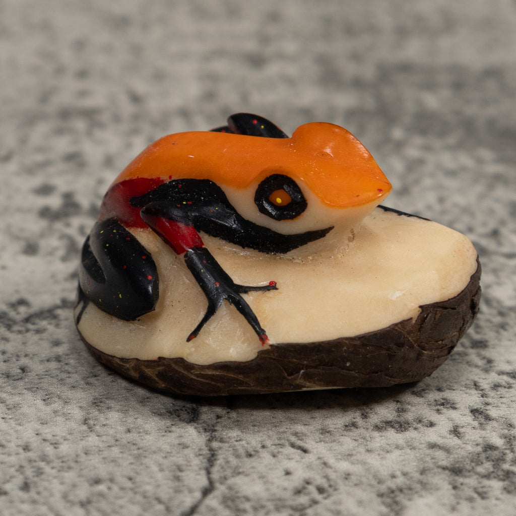 Vintage Orange And Black Frog Tagua Carving