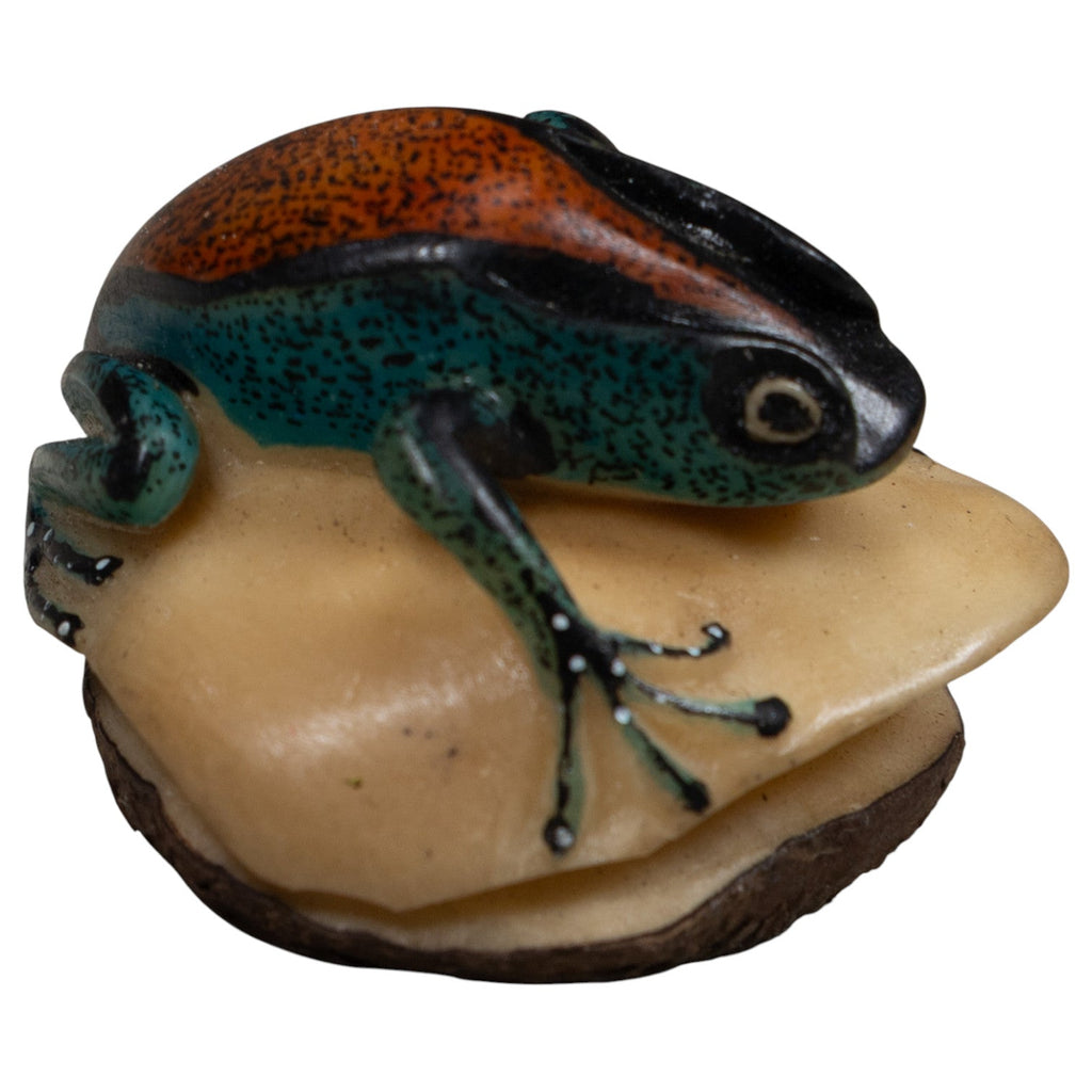Vintage Blue And Red Poison Dart Frog Tagua Carving