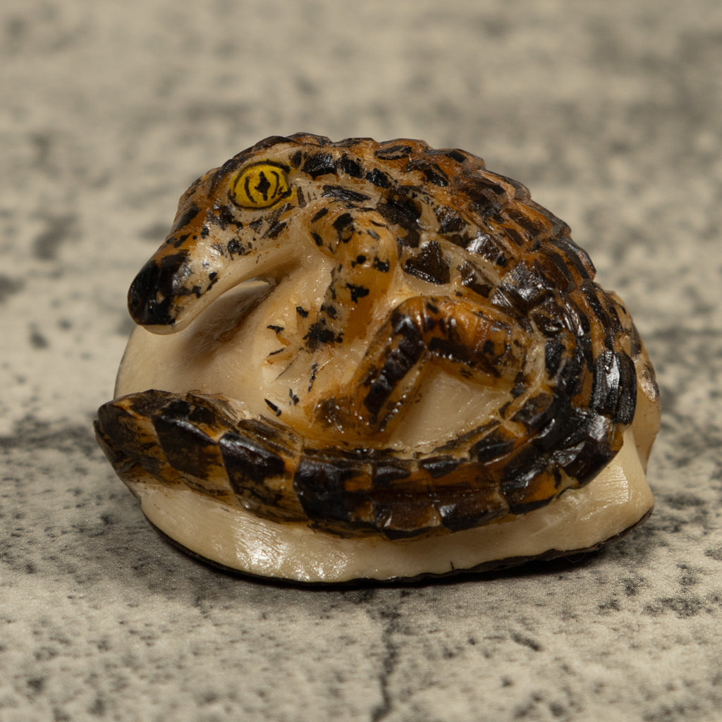 Crocodile Alligator Reptile Tagua Carving