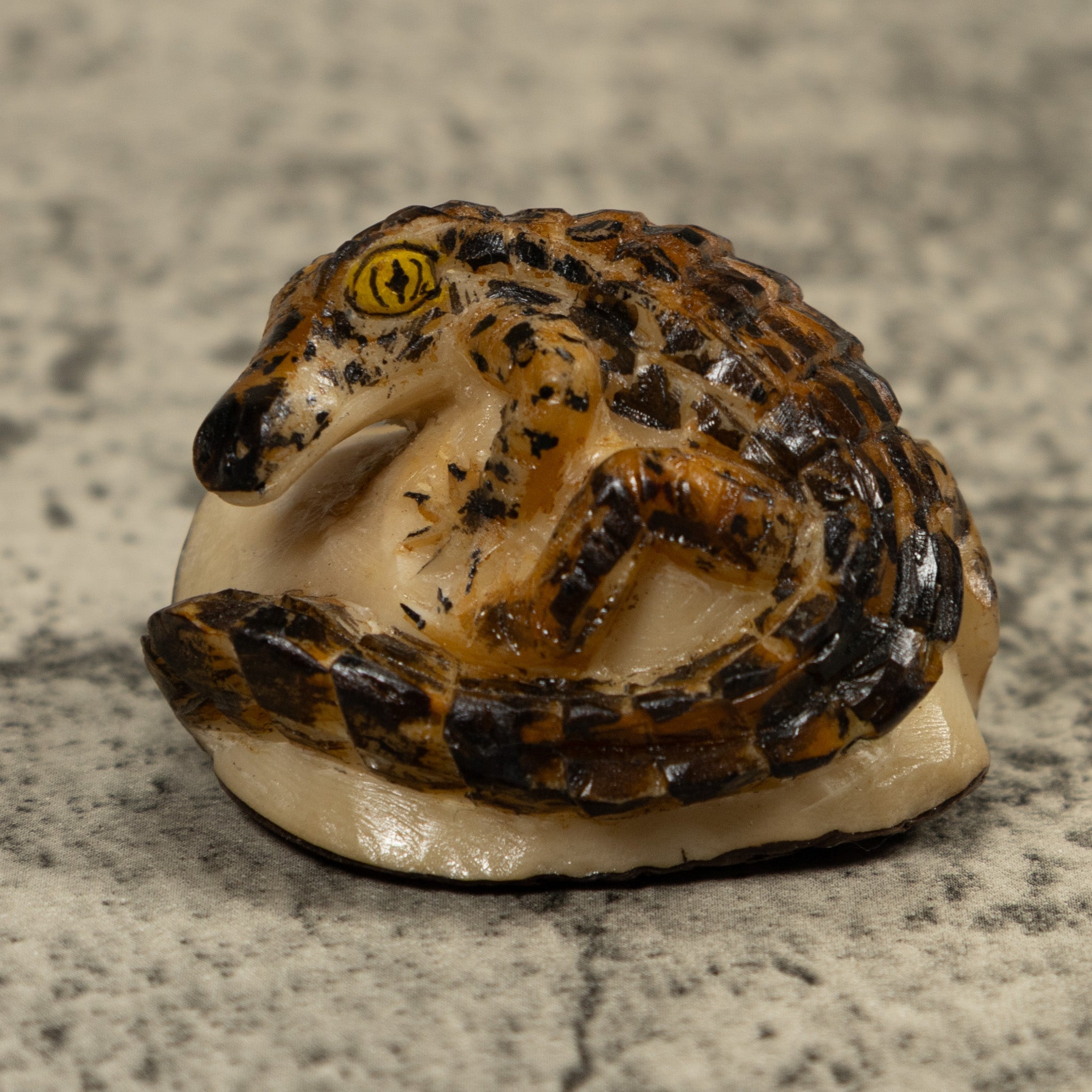 Crocodile Alligator Reptile Tagua Carving
