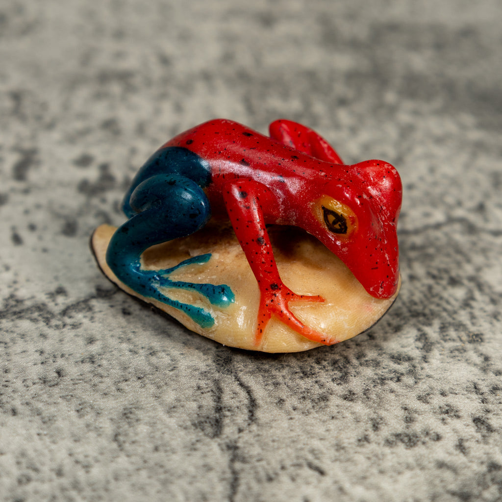 Red And Blue Poison Dart Frog Tagua Carving