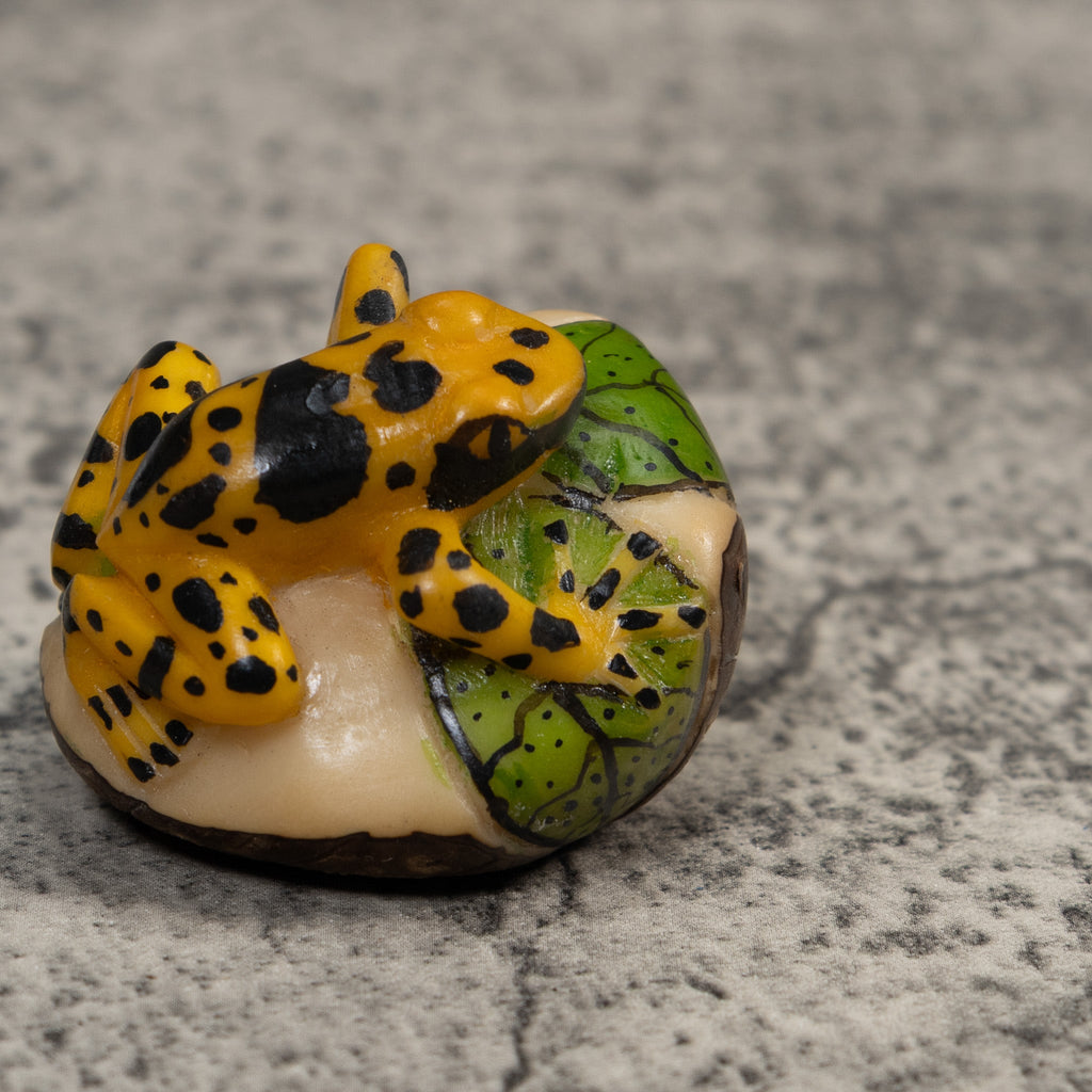Black And Gold Poison Dart Frog Tagua Carving