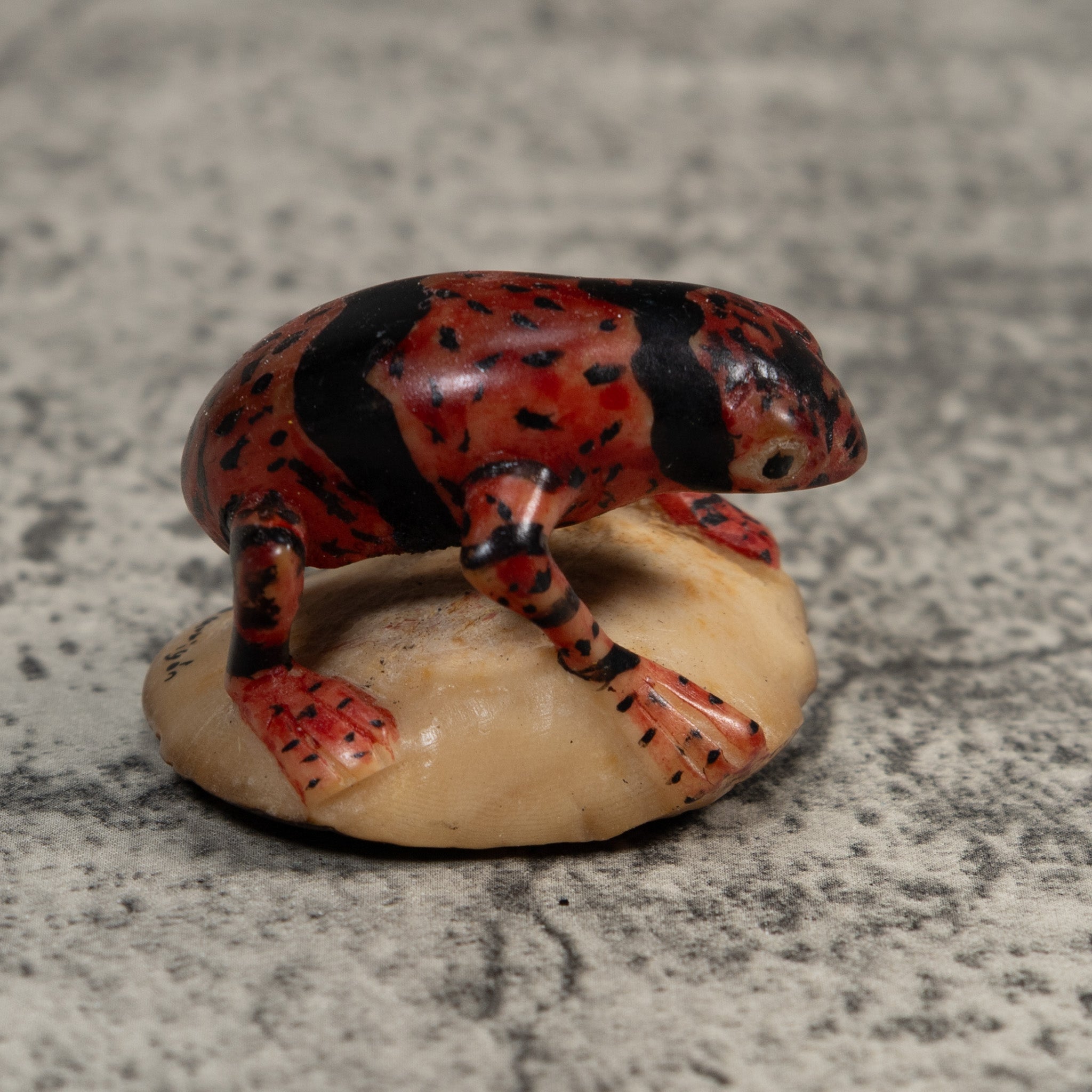 Gold And Black Undercut Poison Dart Frog Tagua Carving