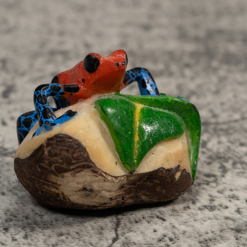 Red And Blue Poison Dart Frog Tagua Carving
