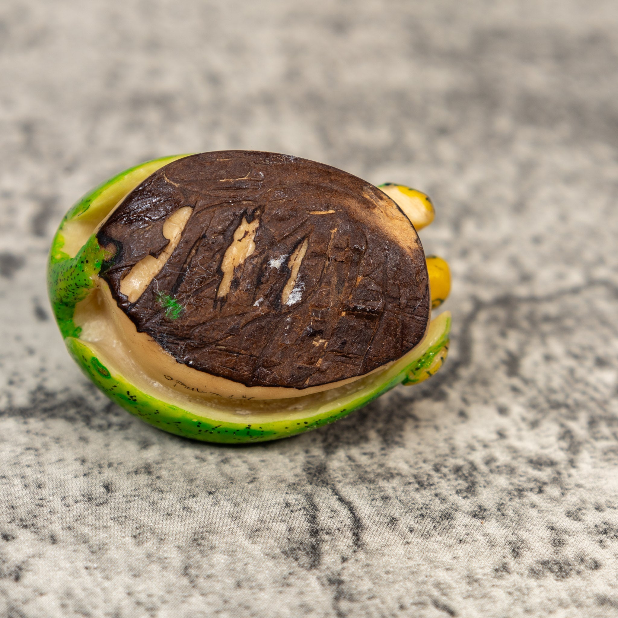 Vintage Turtle Tortoise Tagua Carving