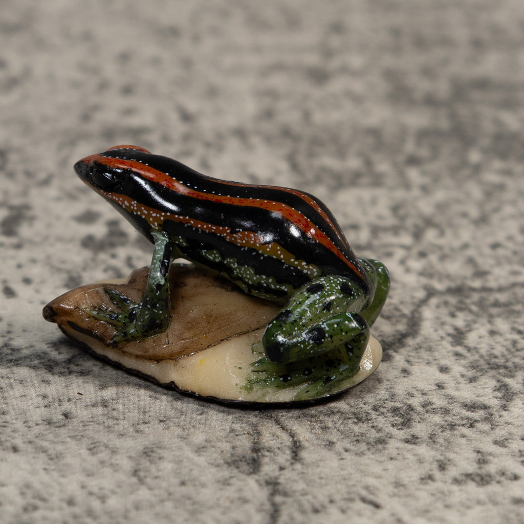 Orange Black And Green Poison Dart Frog Tagua Carving