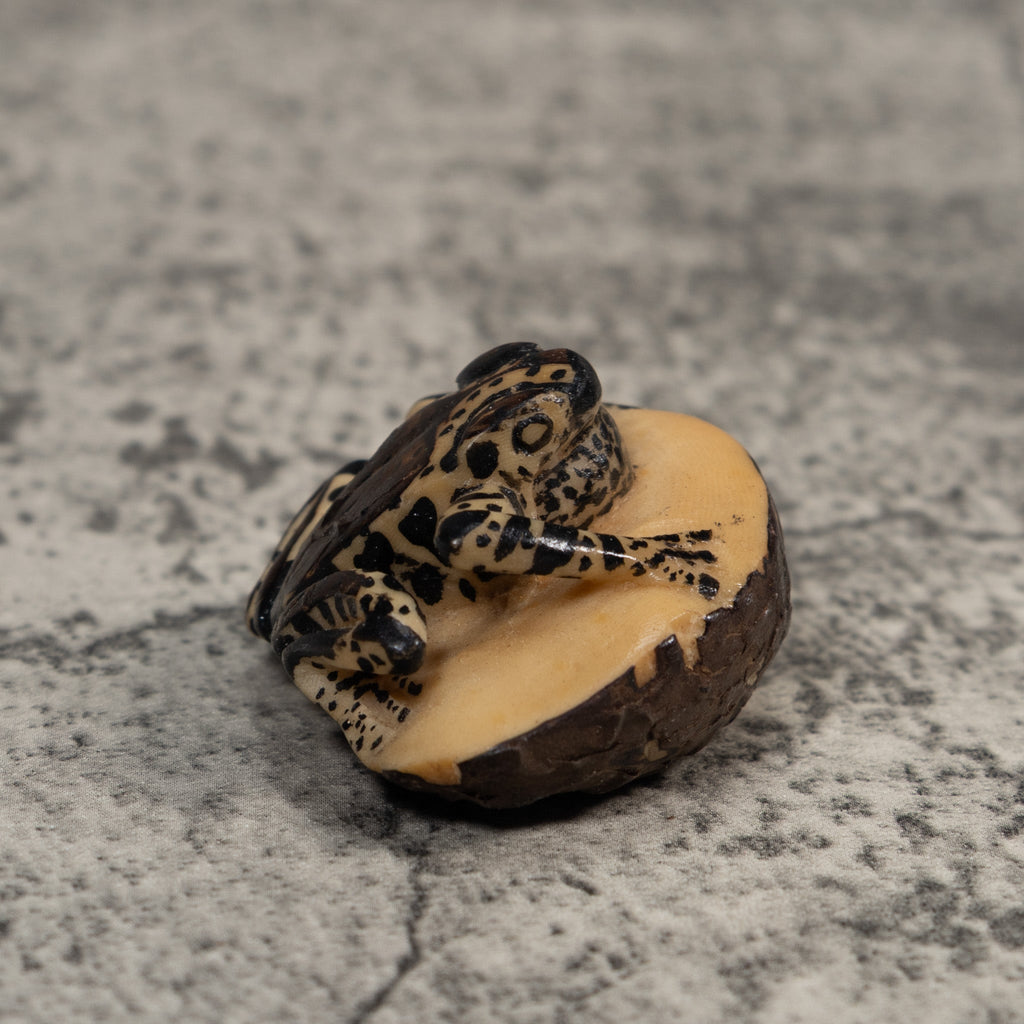 Vintage White And Black Poison Dart Frog Tagua Carving