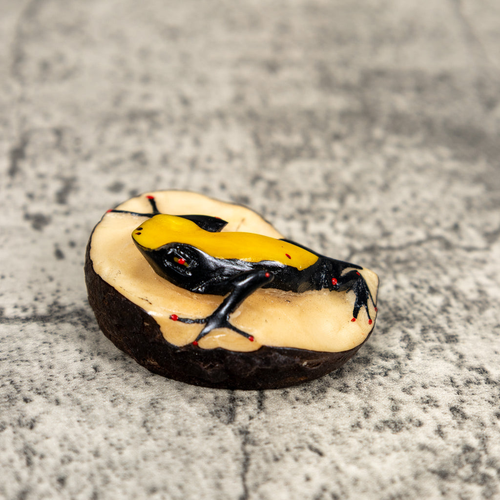 Black And Yellow Poison Dart Frog Tagua Carving