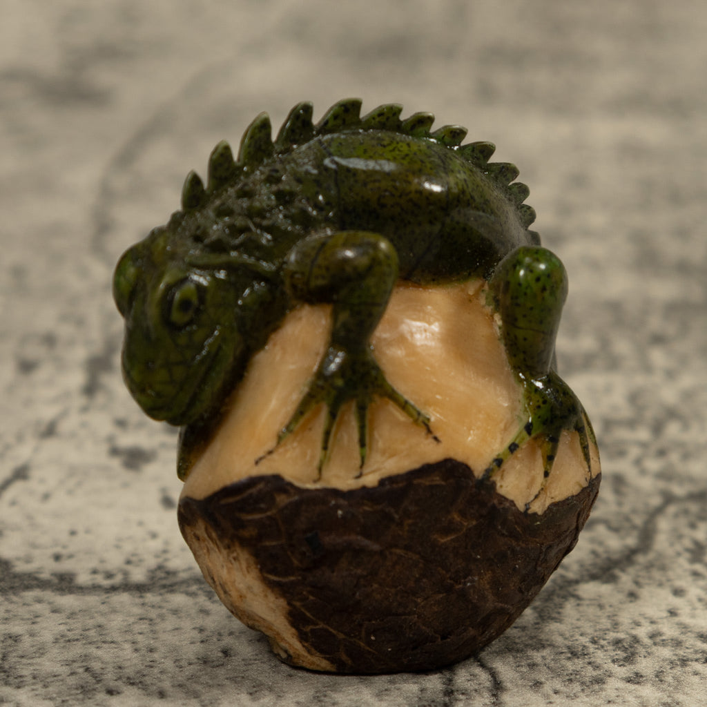 Iguana Lizard Reptile Tagua Carving