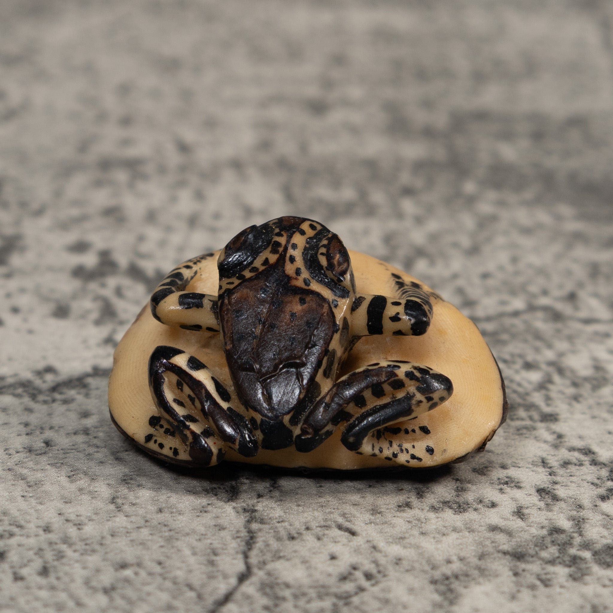 Vintage White And Black Poison Dart Frog Tagua Carving