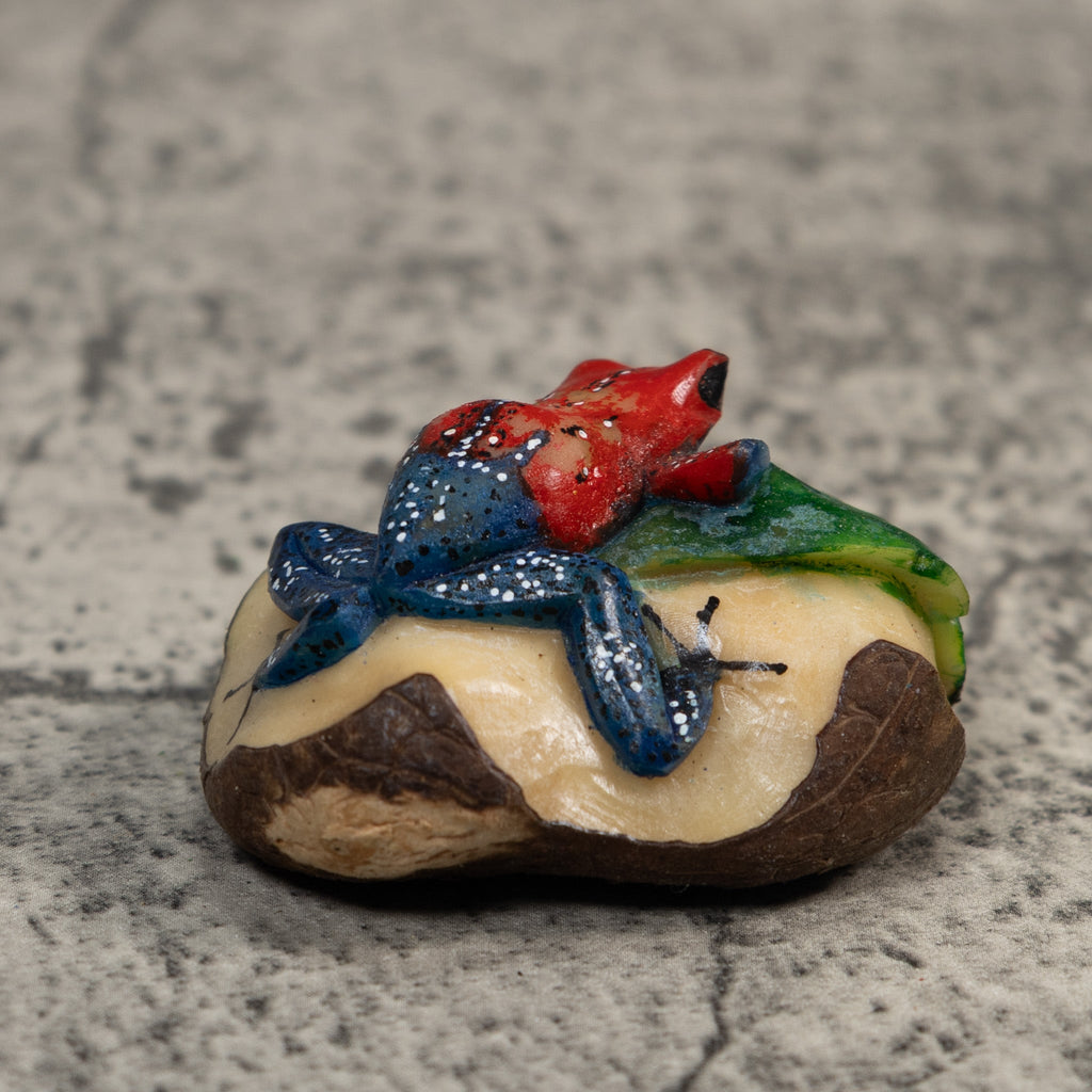 Red And Blue Poison Dart Frog Tagua Carving