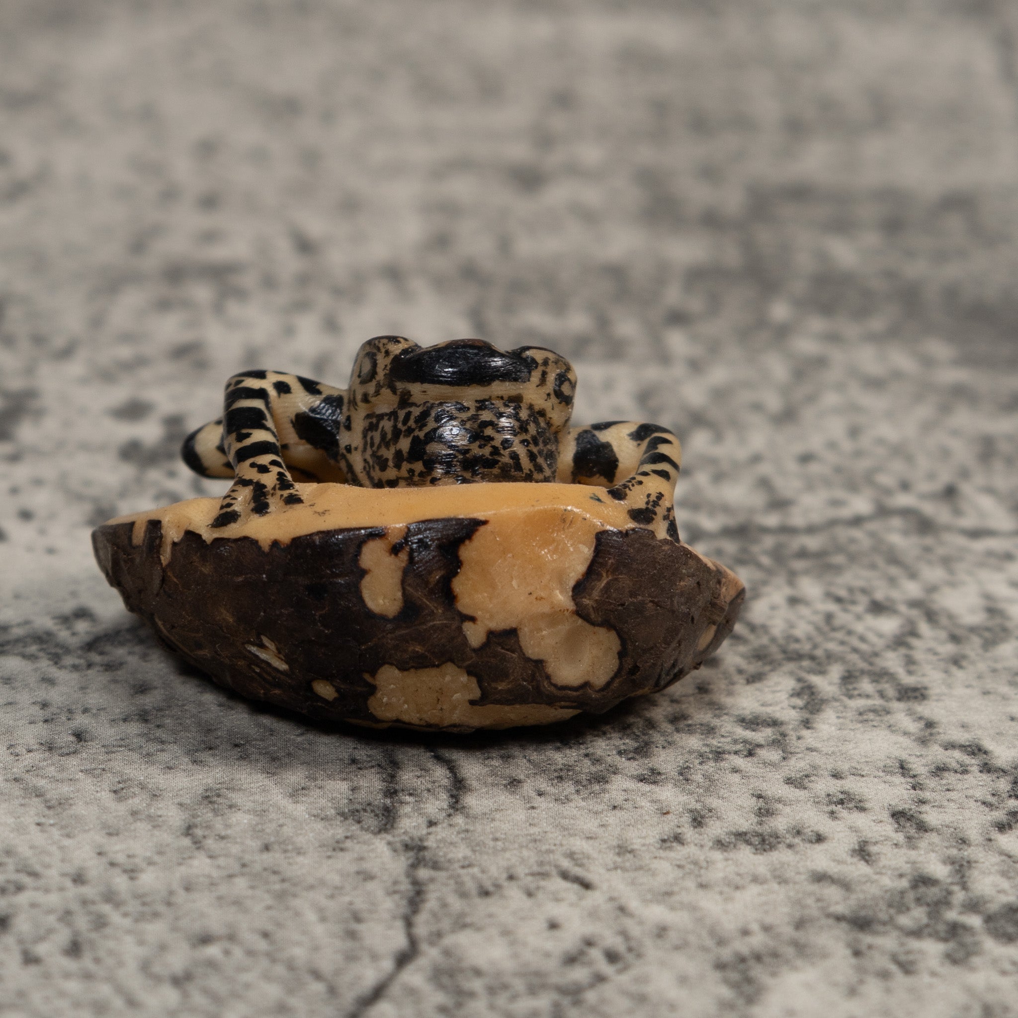 Vintage White And Black Poison Dart Frog Tagua Carving