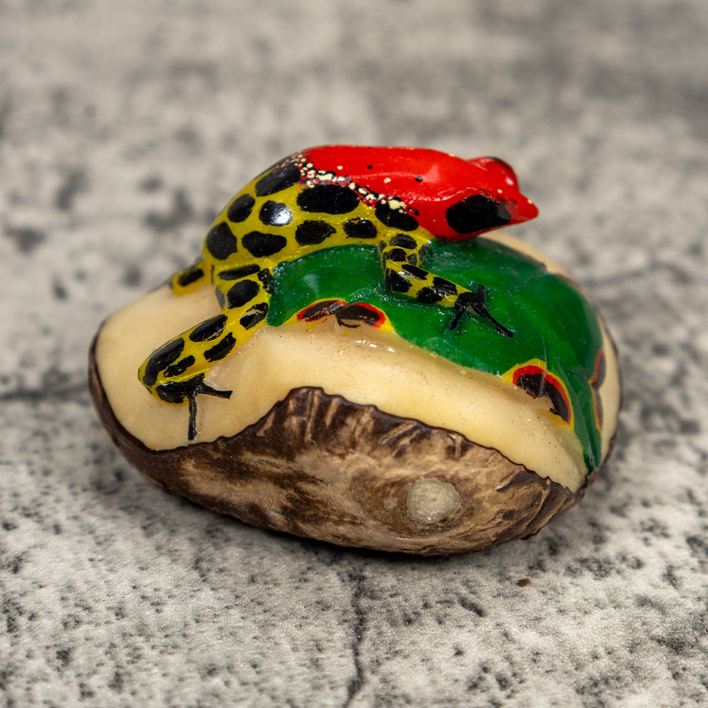 Black Red And Yellow Poison Dart Frog Tagua Carving
