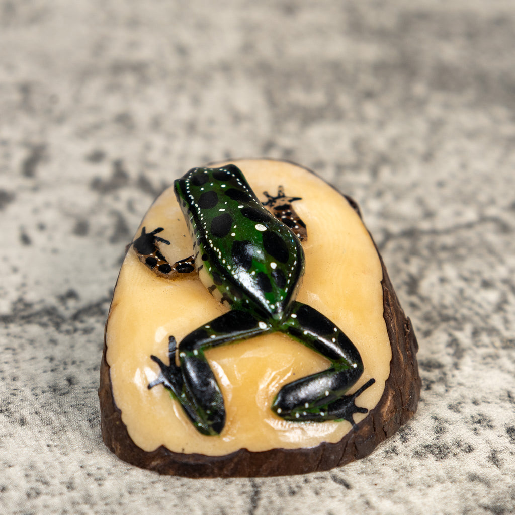 Green And White Poison Dart Frog Tagua Carving
