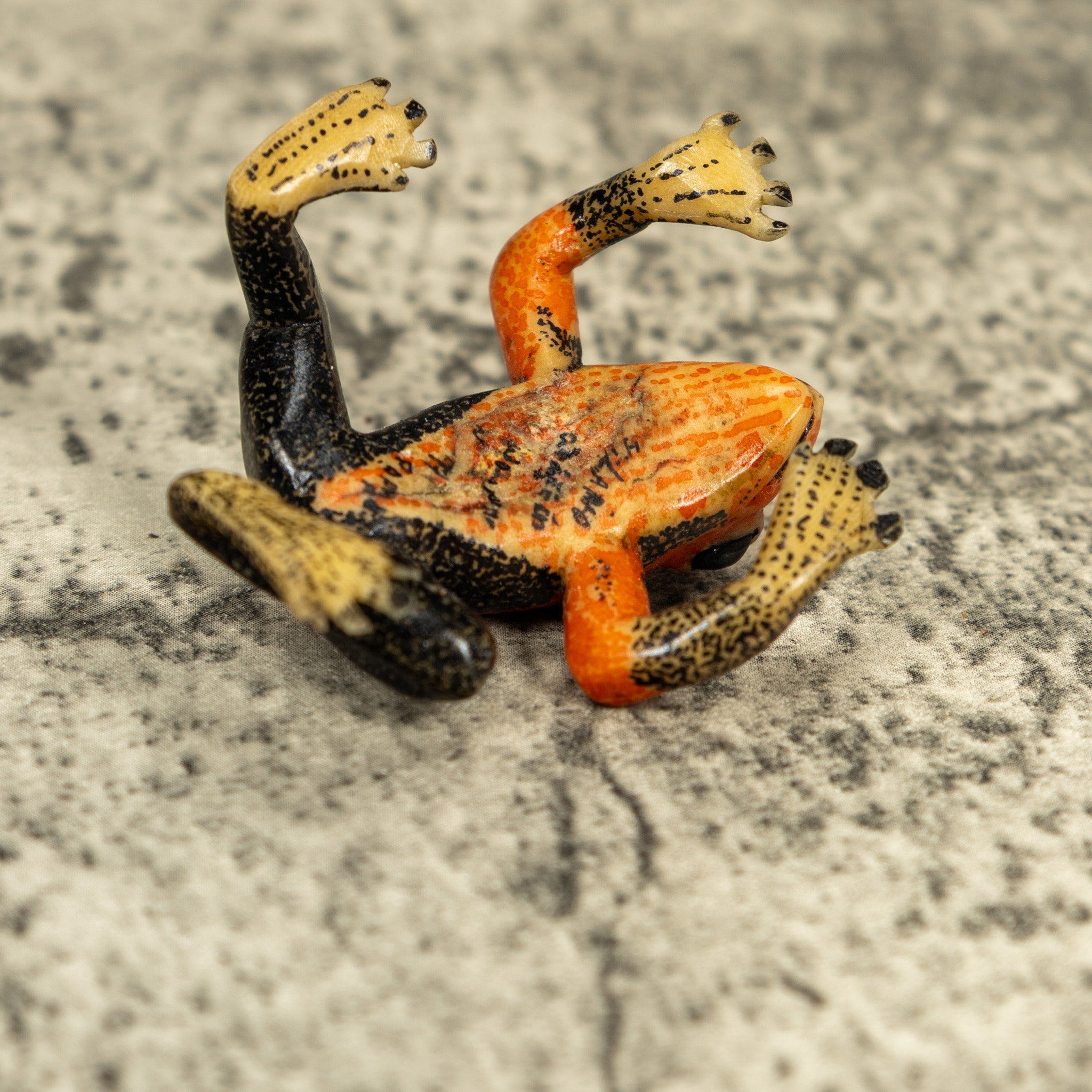 Free Standing Black And Orange Frog Tagua Carving