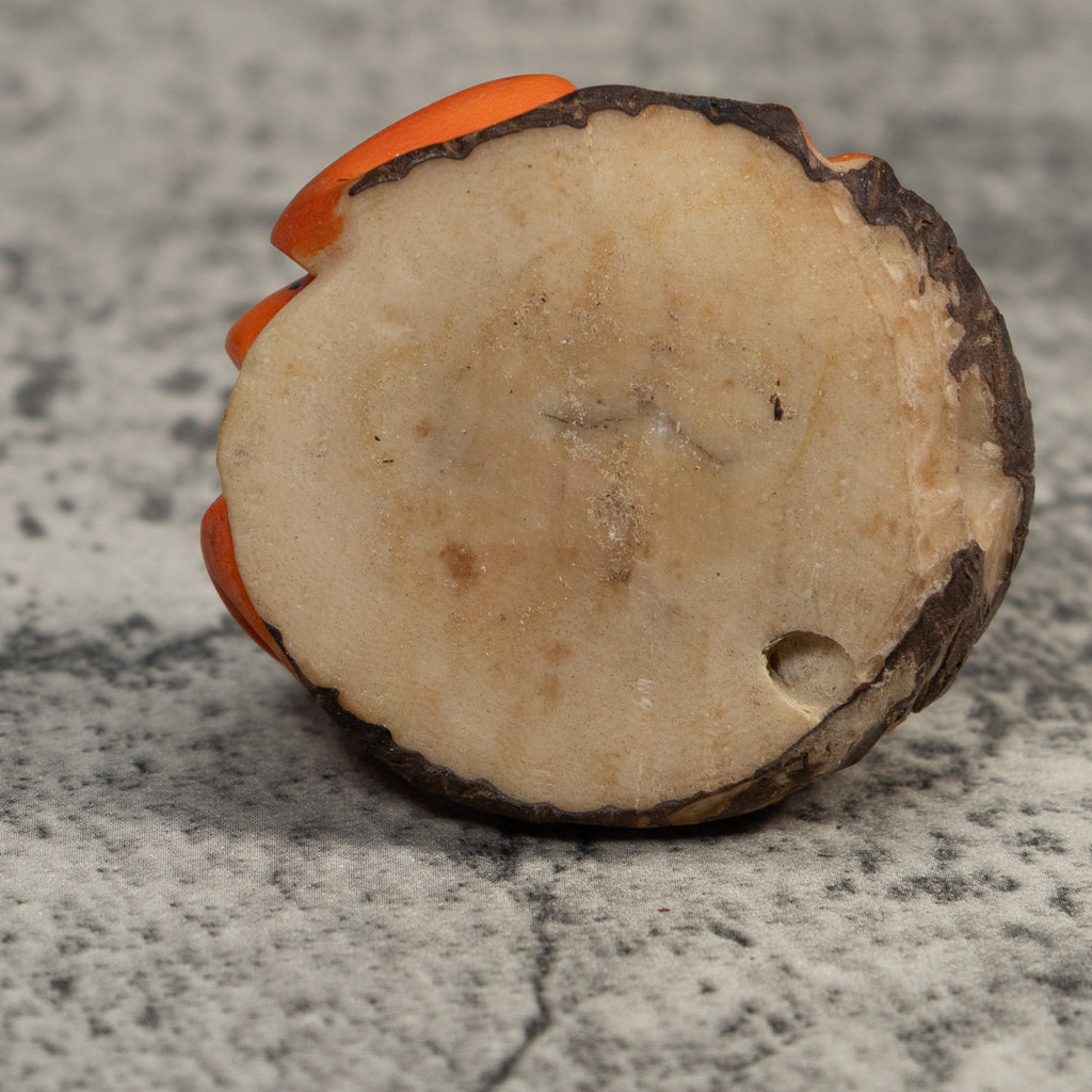 Orange And Black Poison Dart Frog Tagua Carving