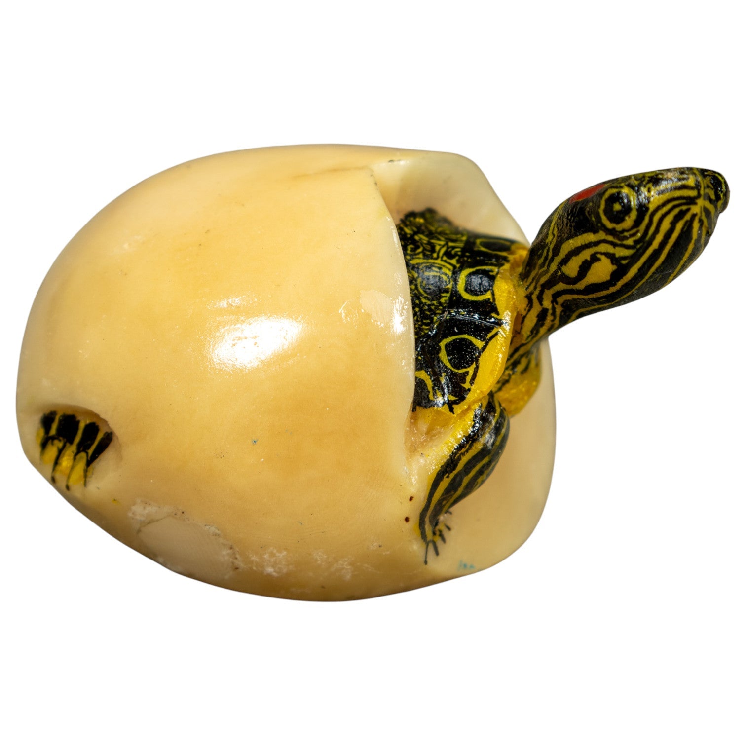 Tortoise Turtle Emerging From Egg Tagua Carving