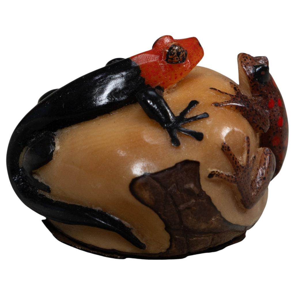 Black Red And Brown Gecko And Frog Tagua Carving