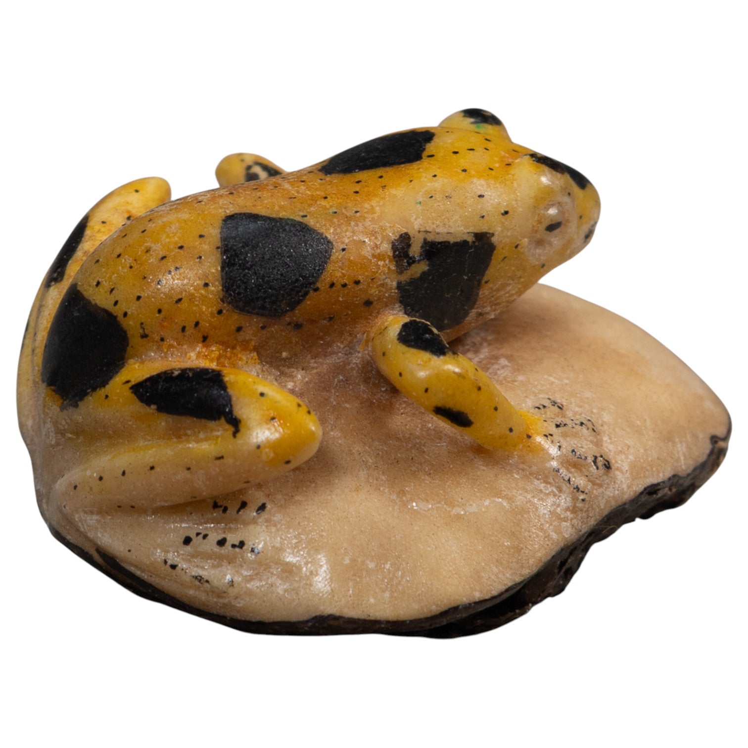 Vintage Yellow And Black Poison Dart Frog Tagua Carving