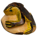 Vintage Yellow And Brown Frog Tagua Carving