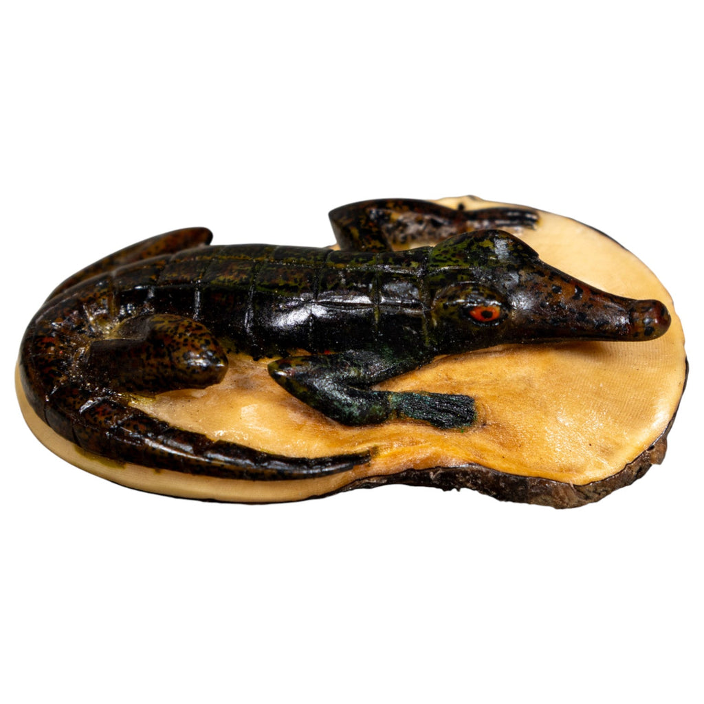 Double Nut Alligator Crocodile Caiman Tagua Carving