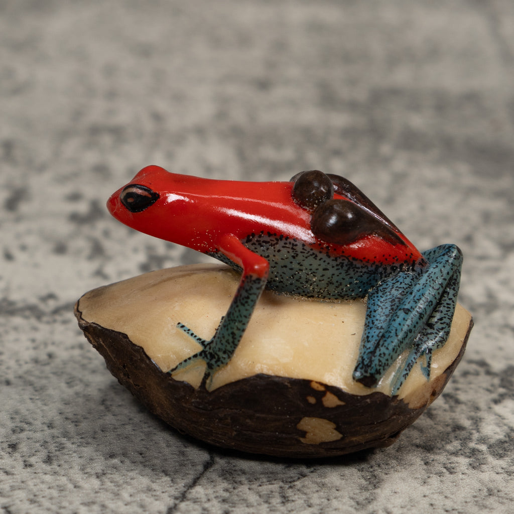 Red Black And Blue Poison Dart Frog Tagua Carving